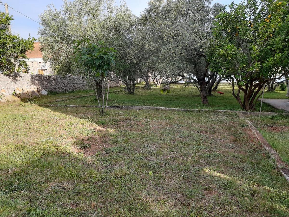 Apartament Family House Rebeka Ugljan Zewnętrze zdjęcie